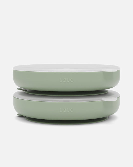 Suction Plate + Lid