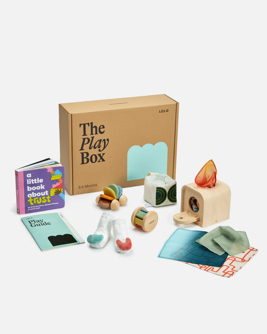 The Play Box: 5-6 Months