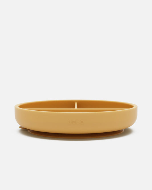 Suction Plate