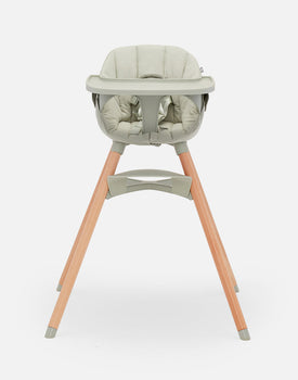 The Chair in Sage