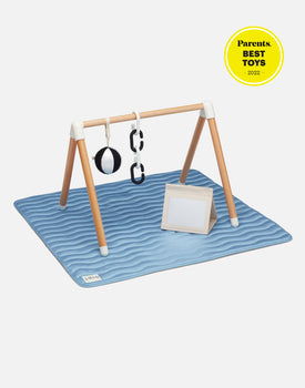 The Play Gym