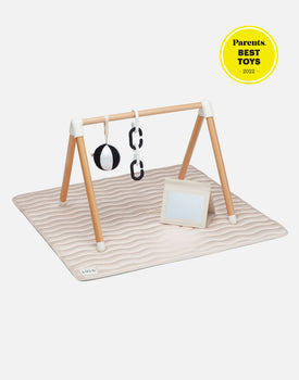 The Play Gym